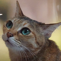 ひーちゃん
