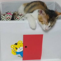 トリー