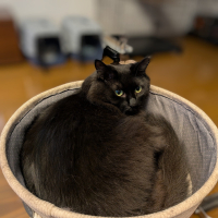 エリー