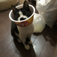 ムッシュ