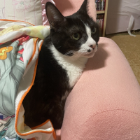 にう