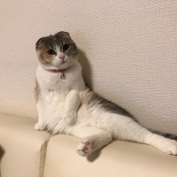 みぃ