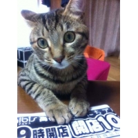 かんぺい