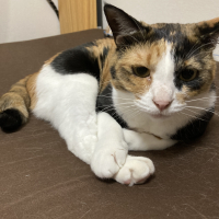 くーちゃん