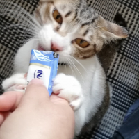 ララ