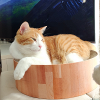 にる