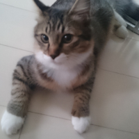 みお