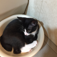 あめ