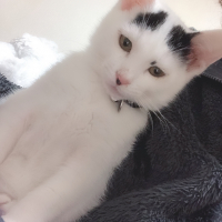小太郎