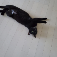 うに