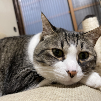 ミン太郎