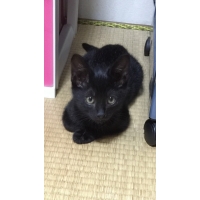 きぃ
