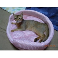 ツナ