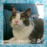 ピコ