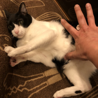 らむね