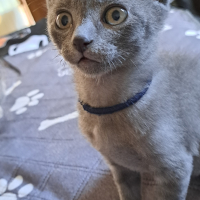 大ちゃん