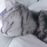 ツナ
