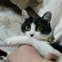 きら