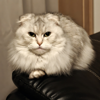 YUKI