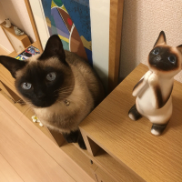 てと