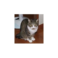 静