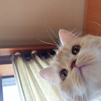 まーる