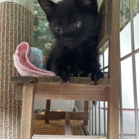 Nacho(ナチョ）　イグナシオ