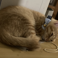 ずっきーに