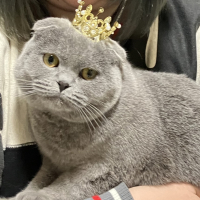 めろん