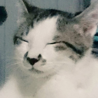 八助