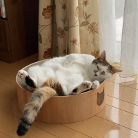 もみじ