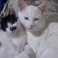 ちょび　(左の子