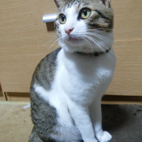 シヴァ