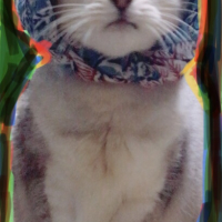 ジル