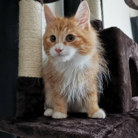 ポチョムキン。