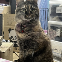 そにる