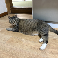 ミー