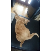 ❤武丸❤たけまる