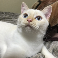 ららの
