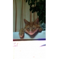 ミュー助