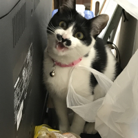 にや
