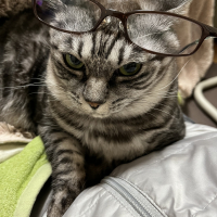 さん