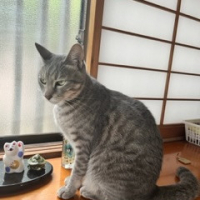 夢