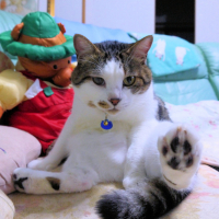 勇魚（いさな）