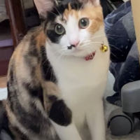 りん