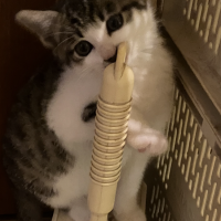 そら