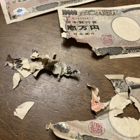 噛み砕かれたお札