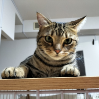 勇太