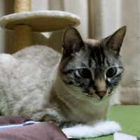 Leo