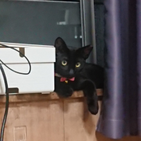 よる